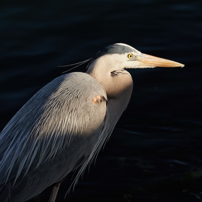 Zum Profil von Céline Haeberly