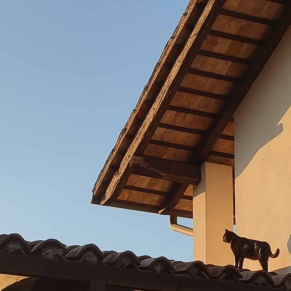 Go to Sari Crasnich's profile