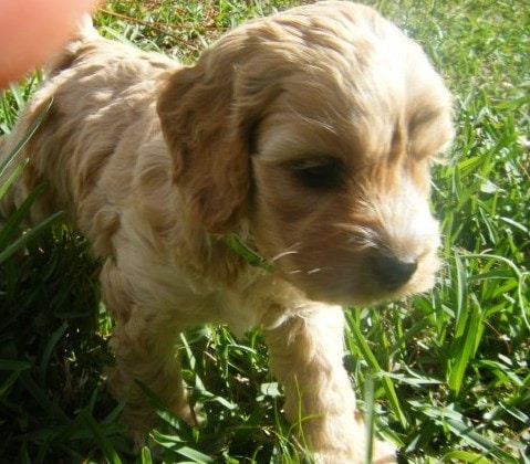 Go to Catherine Ryan's profile