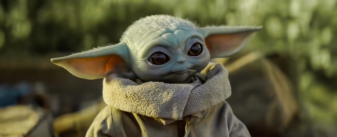 Go to Fa Trinca's profile