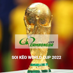 Avatar of user Soi Kèo World Cup