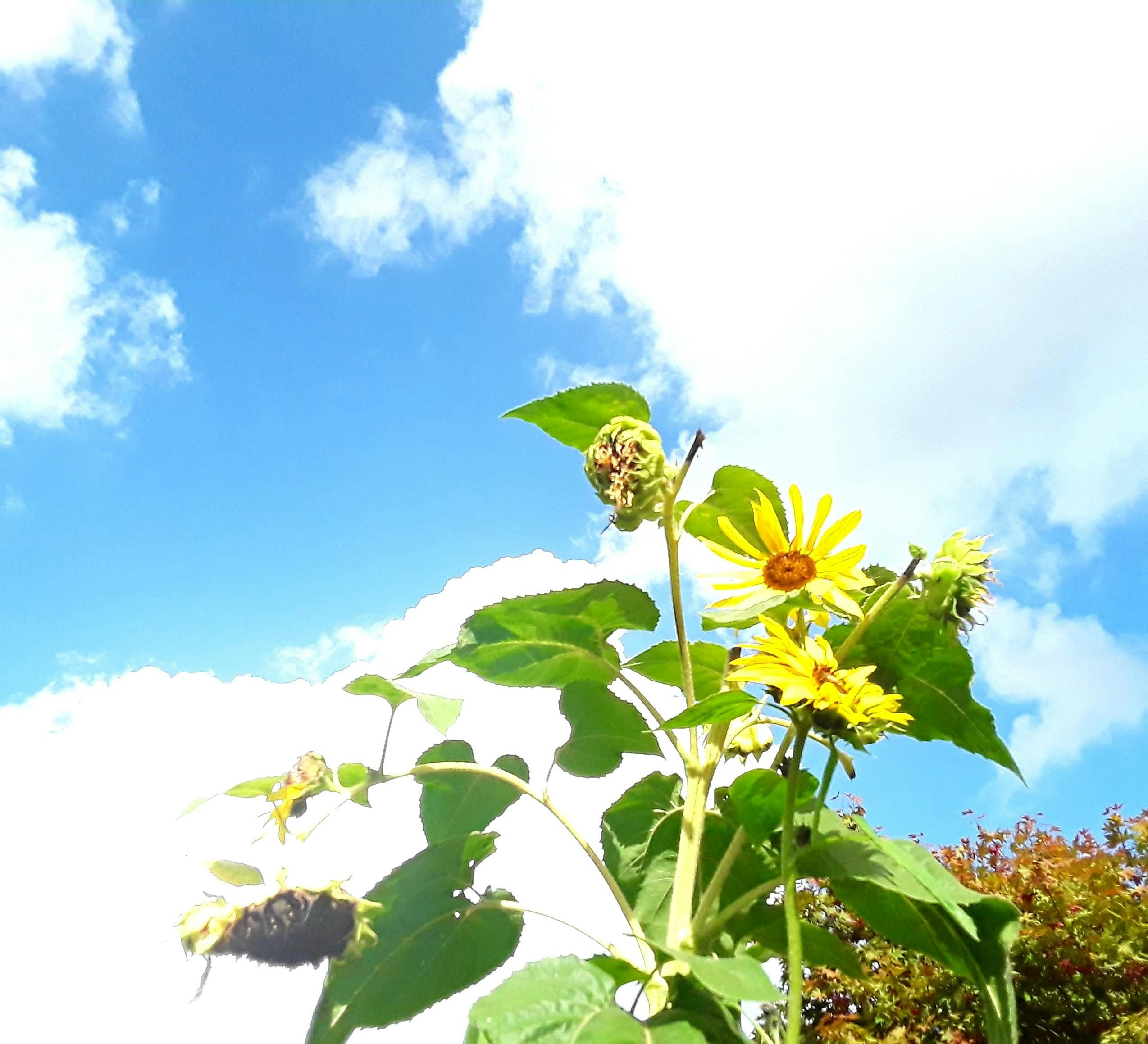 Go to Michelle Contreras's profile