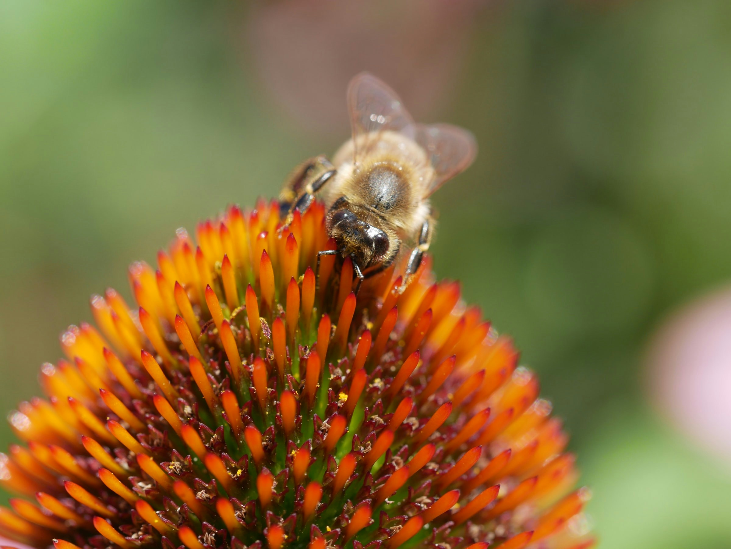 Go to Laurenz Notter's profile