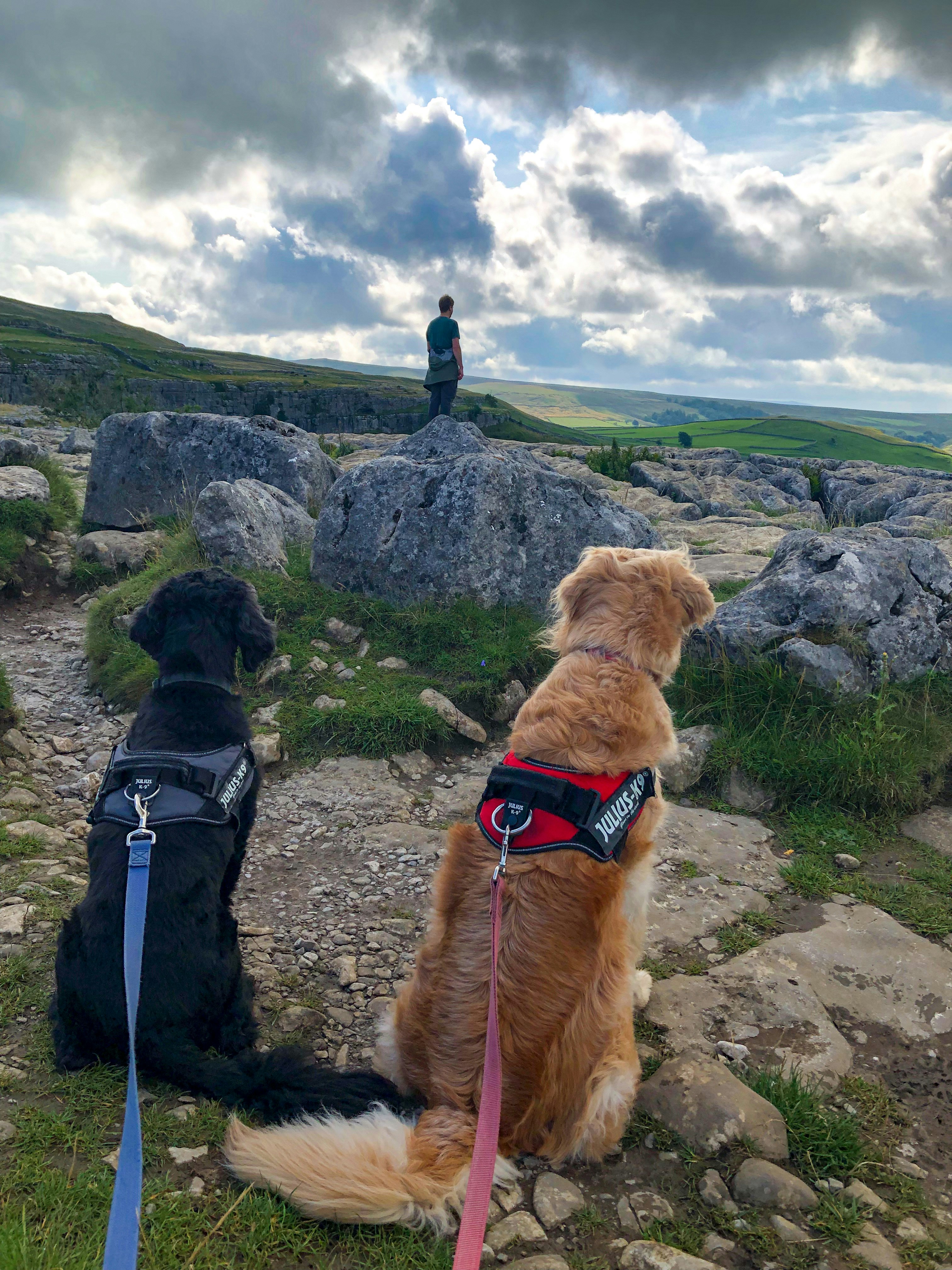 Avatar of user Gabe Fender