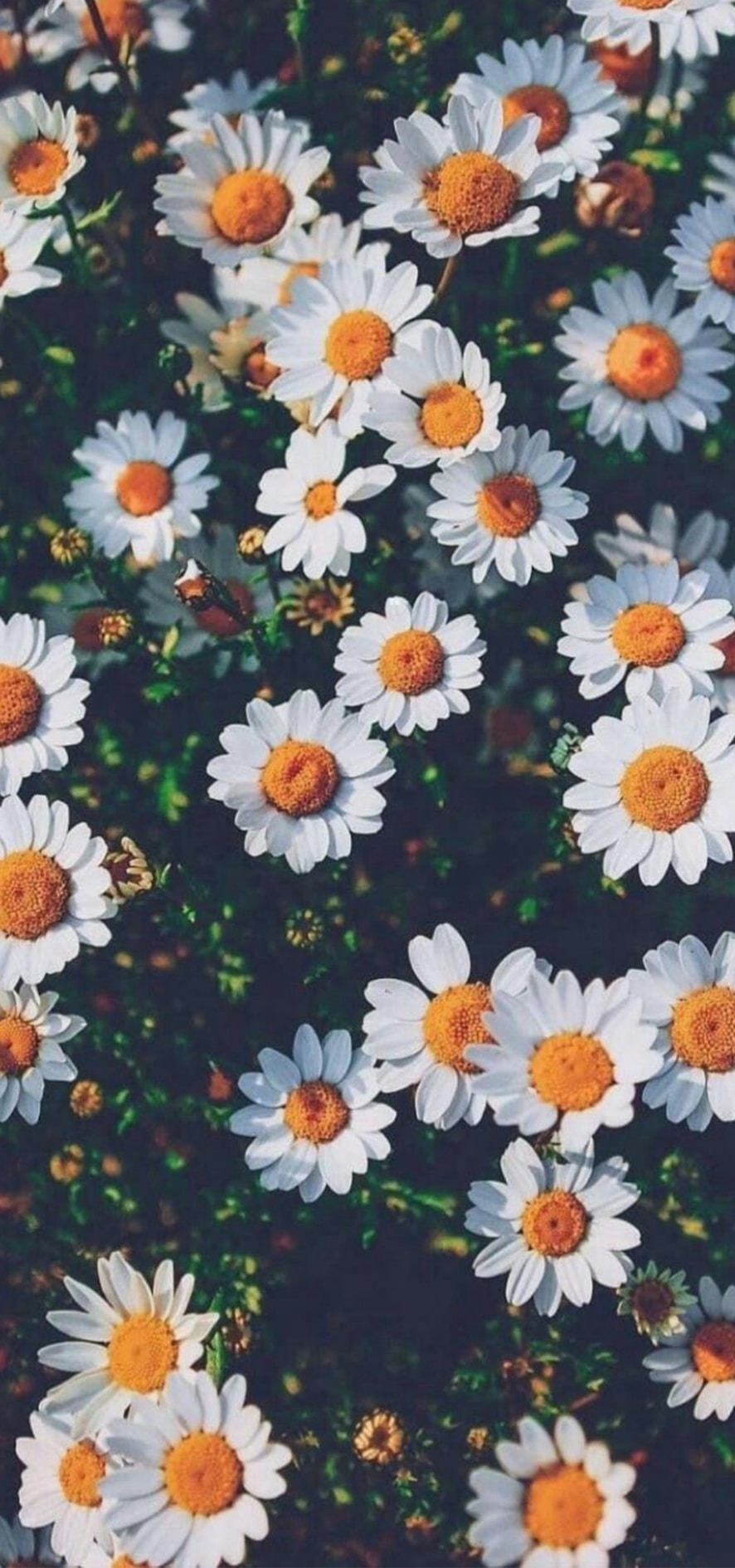 Go to Aldina A's profile