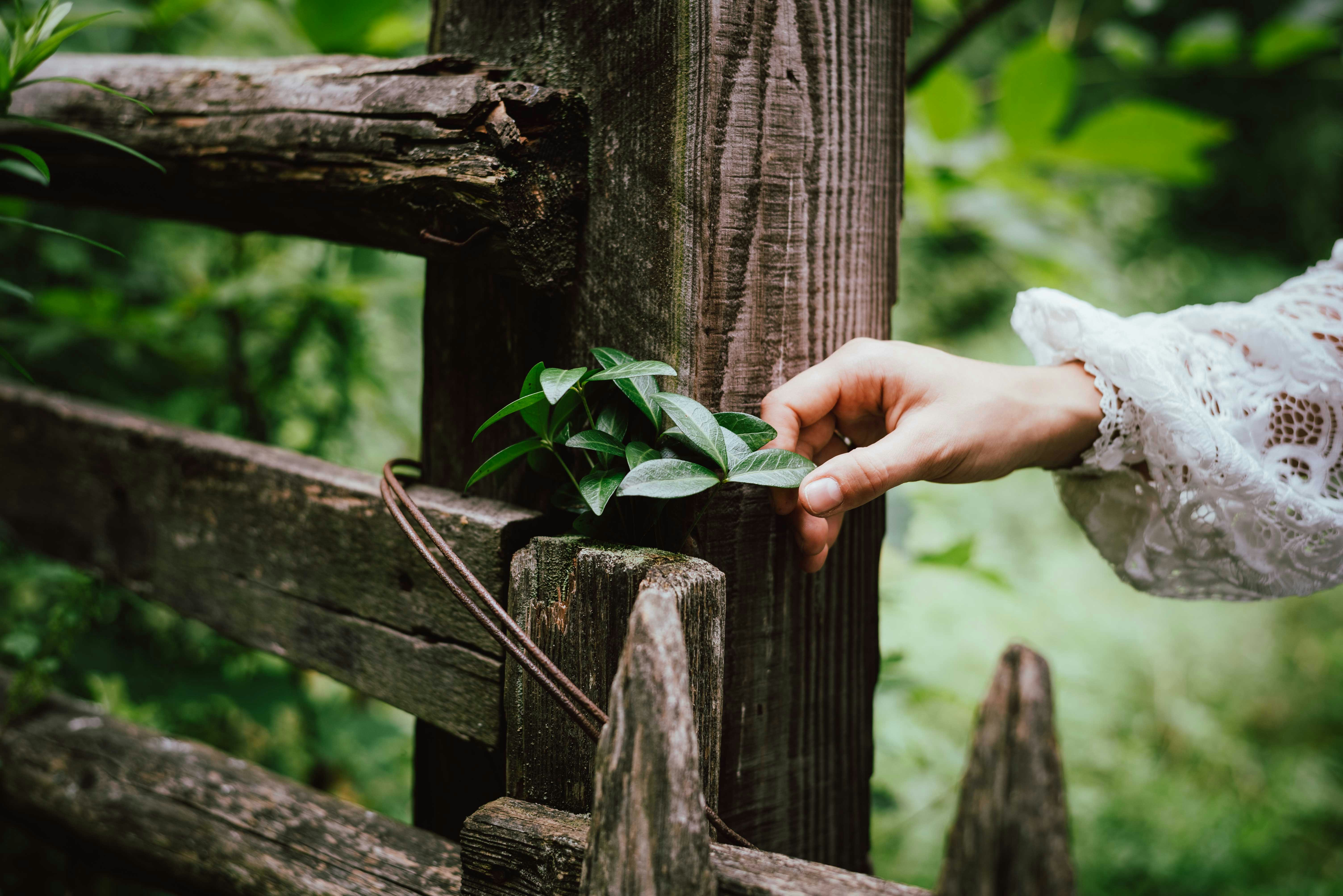 Go to Oksana Maselko's profile