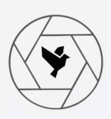 Zum Profil von birdeye.ch