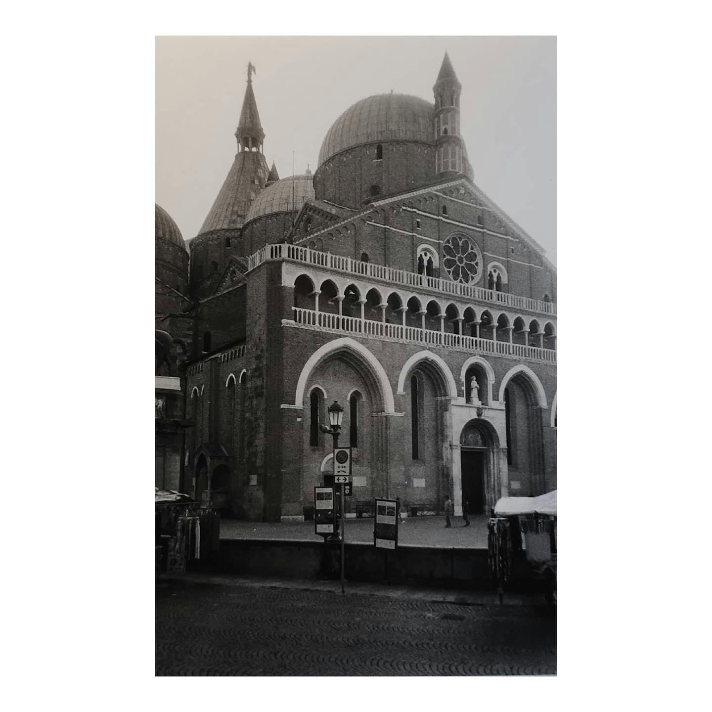 Go to Matteo Minoglio's profile