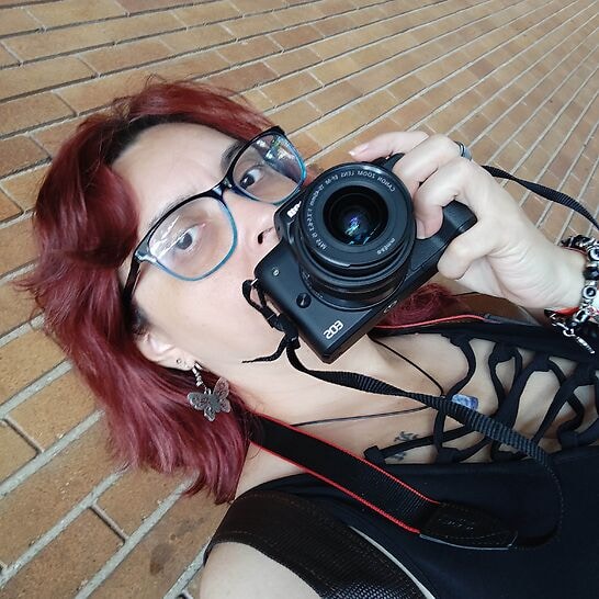 Go to Sofia Gaigher's profile