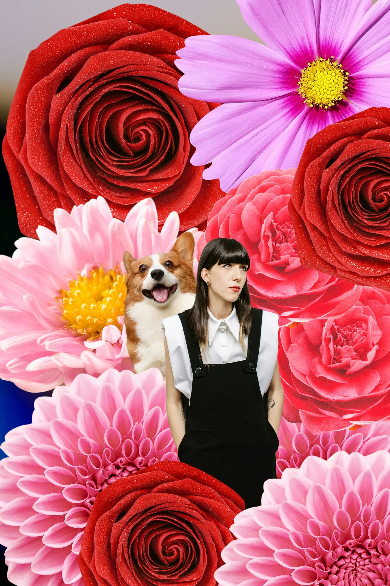 Go to Katarina Miloševic's profile