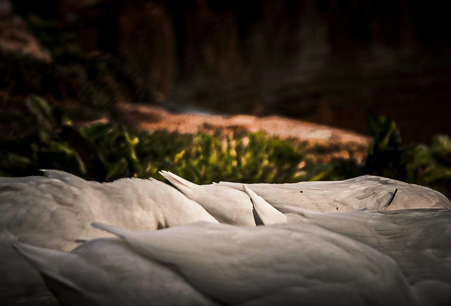 Go to Simon Cheung's profile