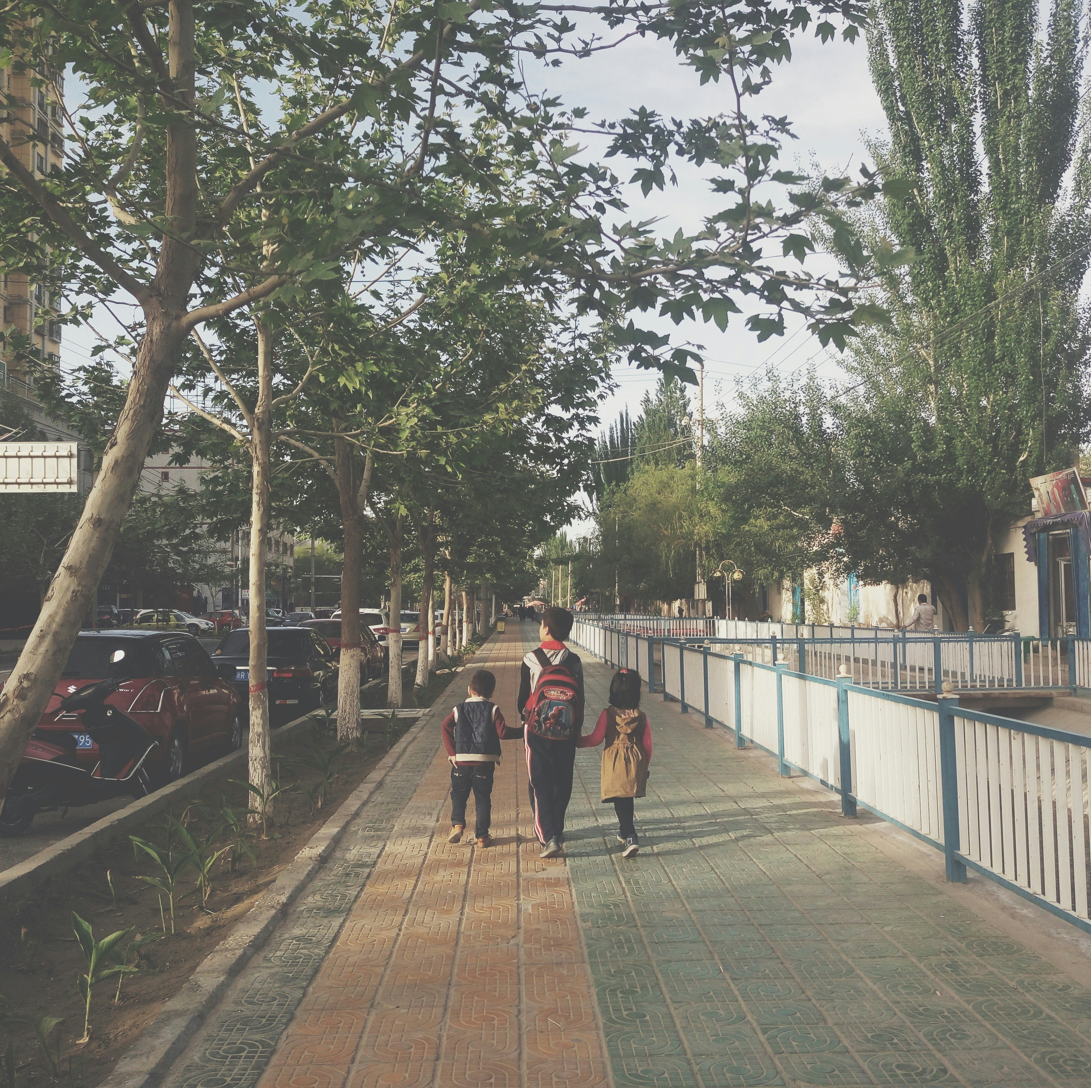 Ve al perfil de Nan Baiqing