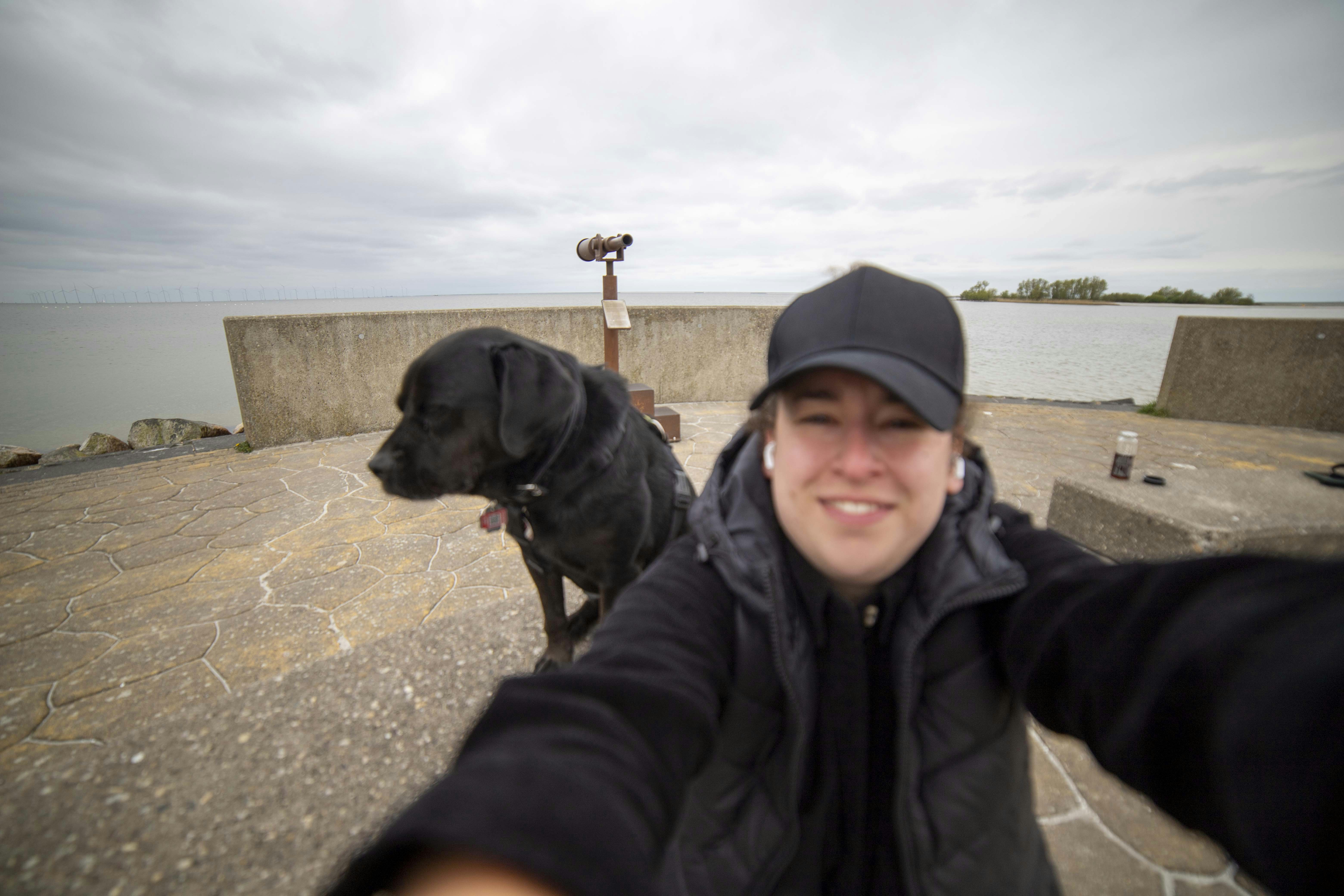 Go to Sara Taghikhahan's profile