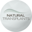 Avatar of user Natural Hair Transplants