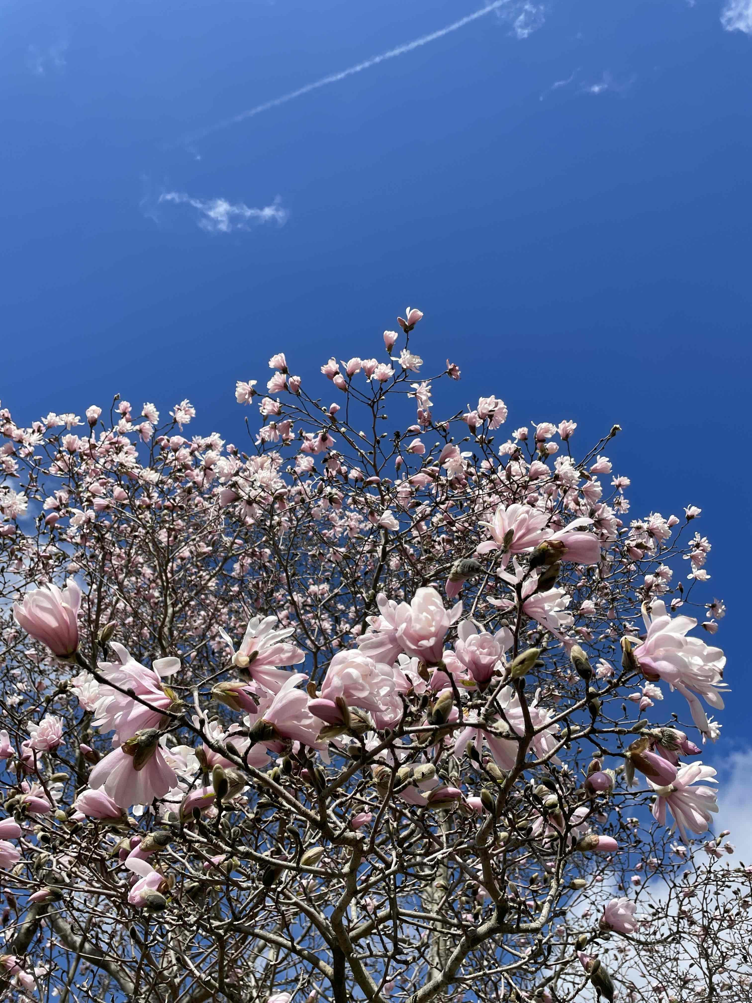 Zum Profil von Annie K