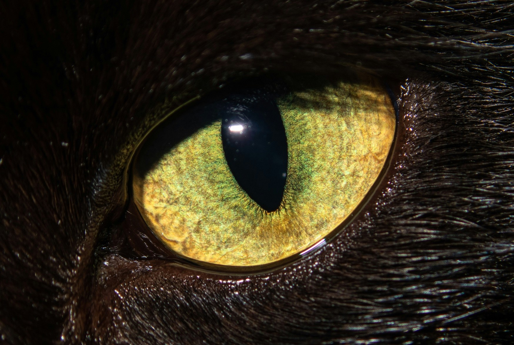 Go to Joan Li's profile