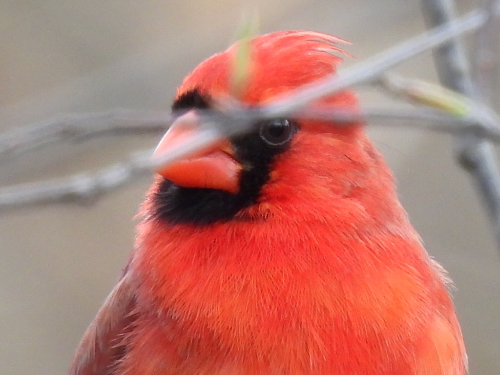 Go to Intelligent Eye's profile