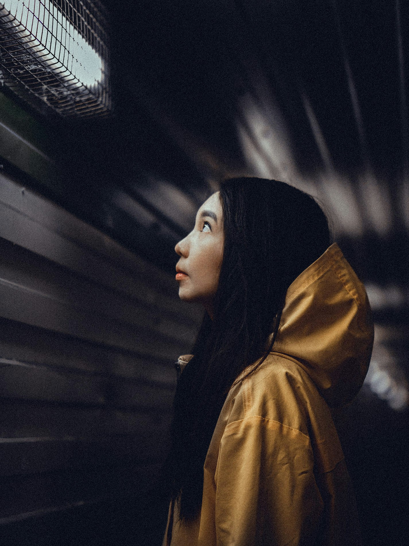 Go to Tkhao Khoang's profile