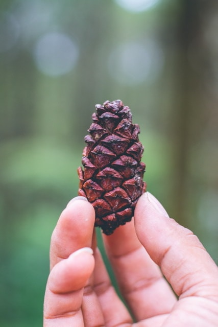 Vai al profilo di Muhammad Ma'ruf