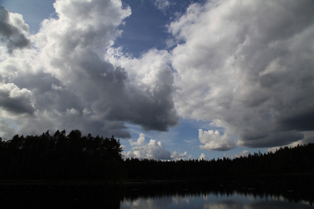 Go to Vadim S's profile