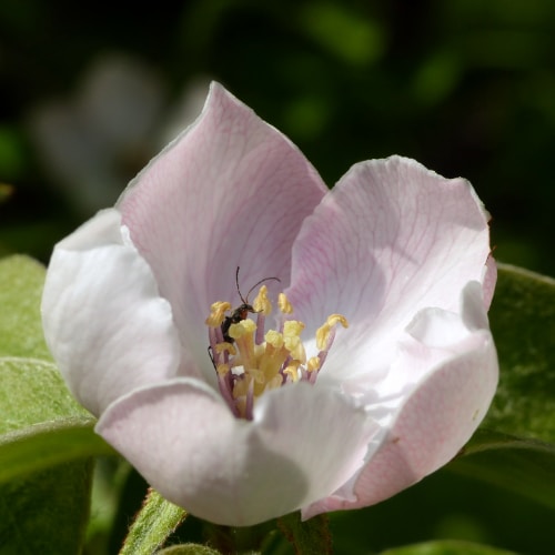 Go to Jack Blueberry's profile