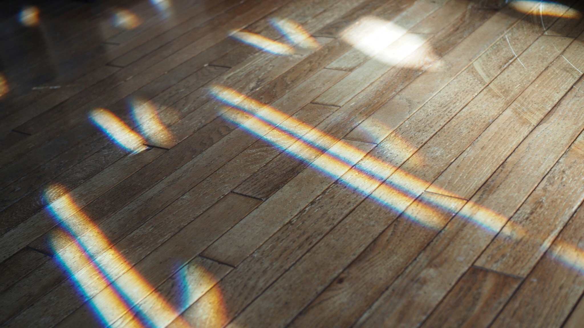 Go to Rikako Matsuoka's profile