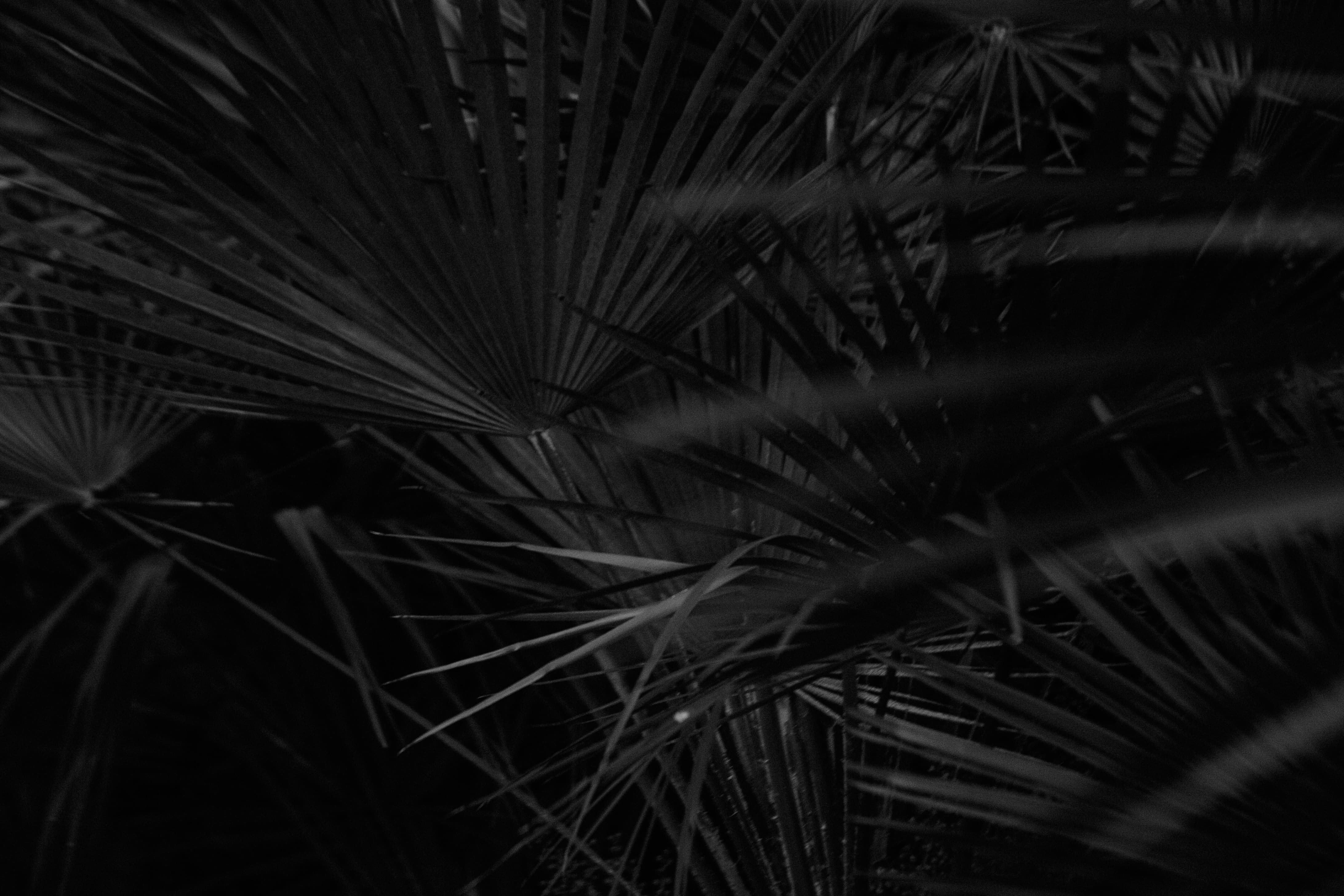 Go to Gus Tav's profile