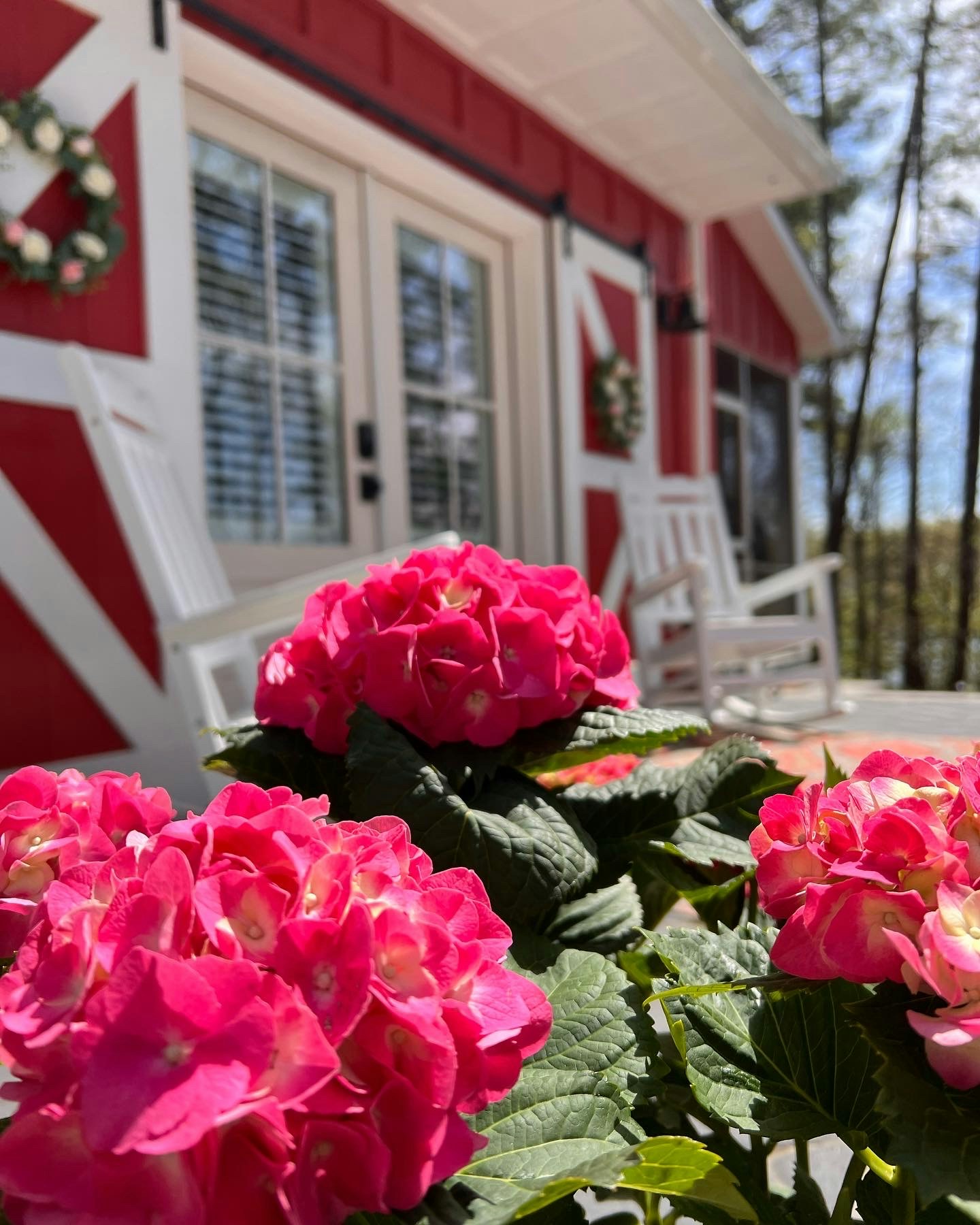 Zum Profil von Virginia Birstler