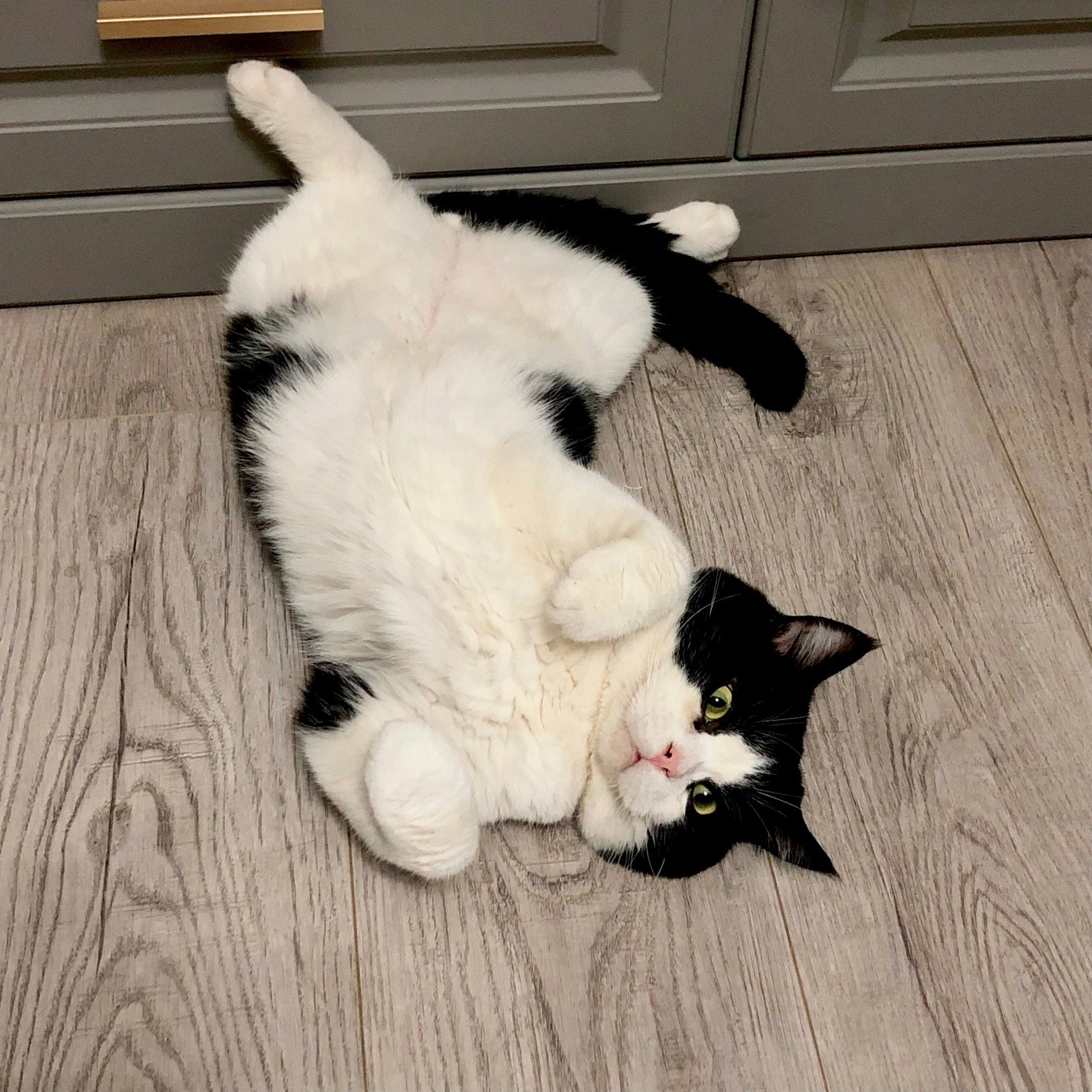 Go to 艾琳 张's profile