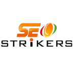 Avatar of user SEO Strikers