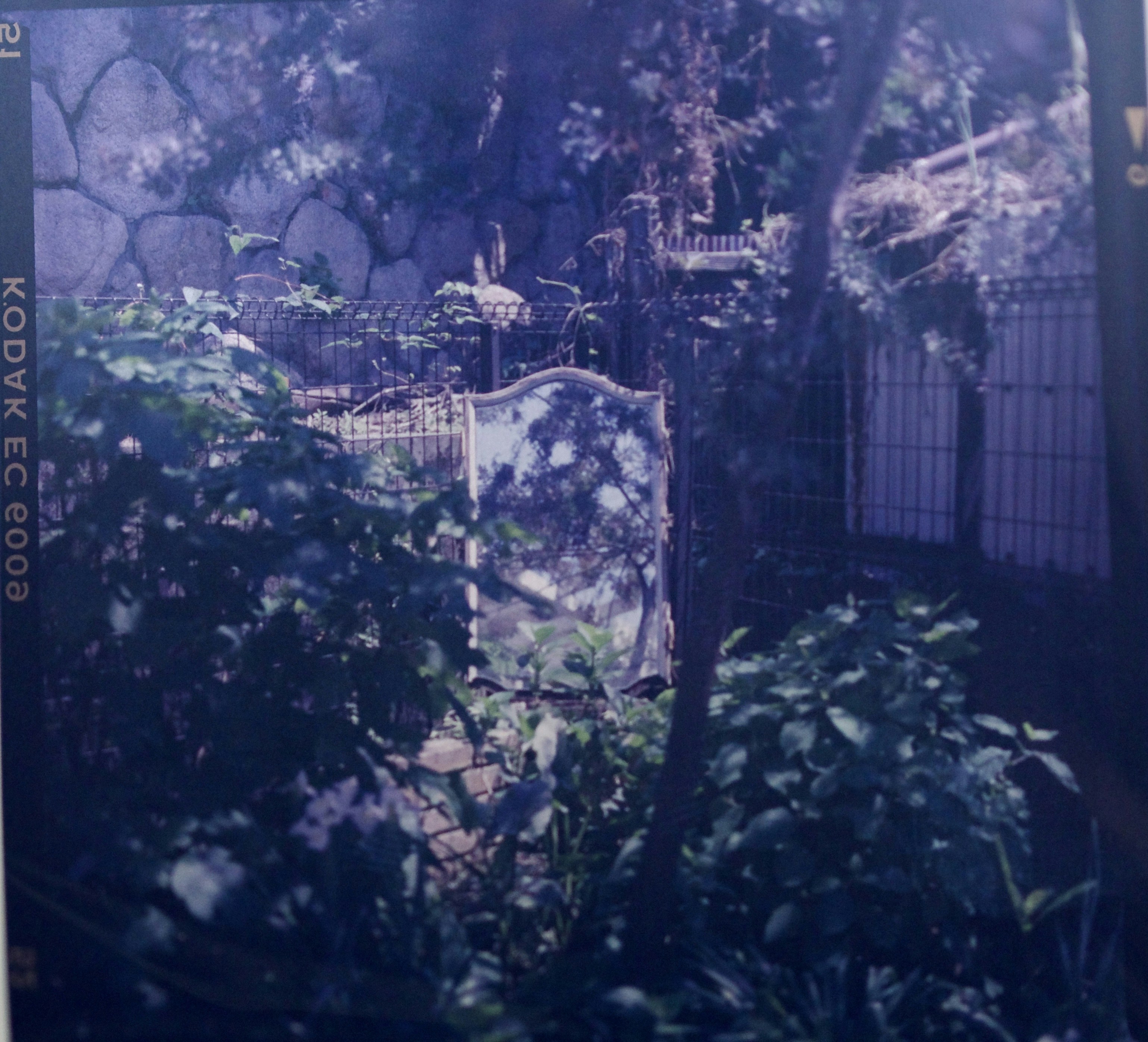 Go to Shunnosuke Suga's profile