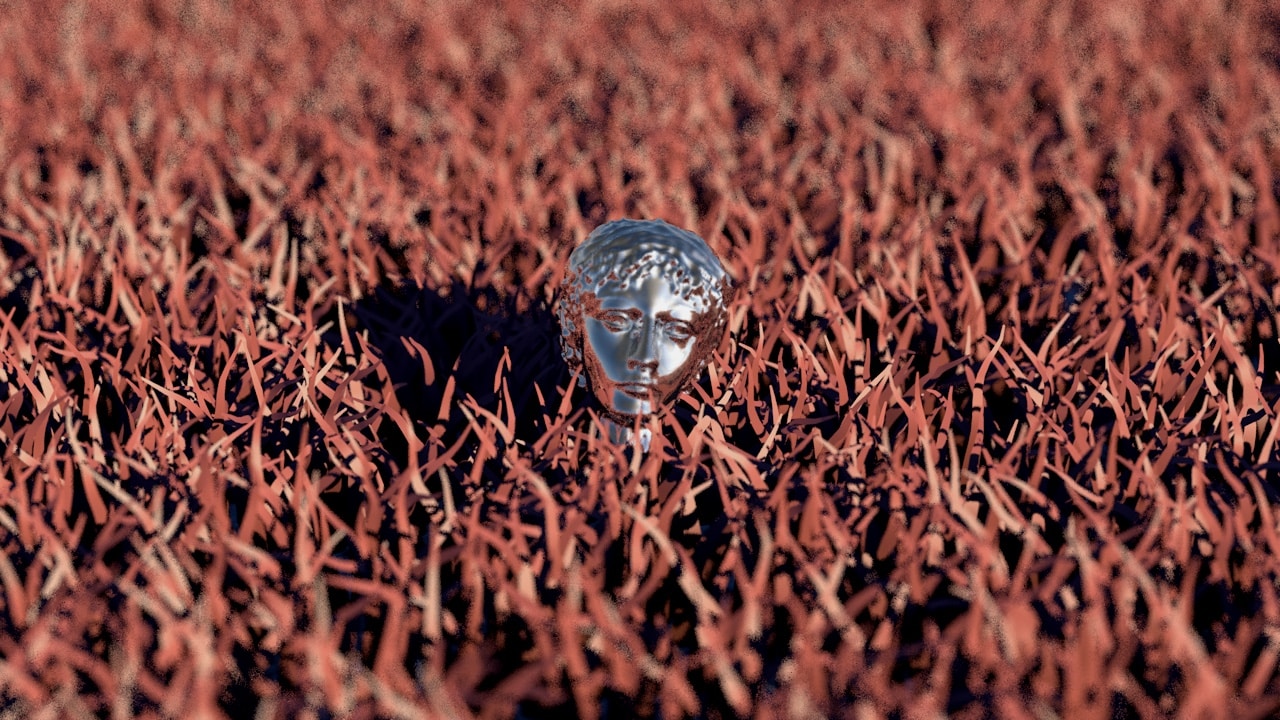 Vai al profilo di rrvviiii