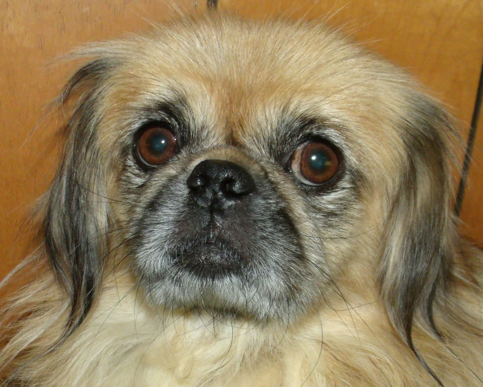 James Simpsonのプロフィールを見る