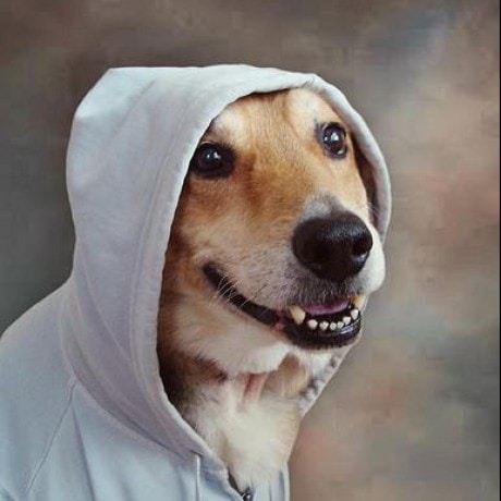 Accéder au profil de Renan