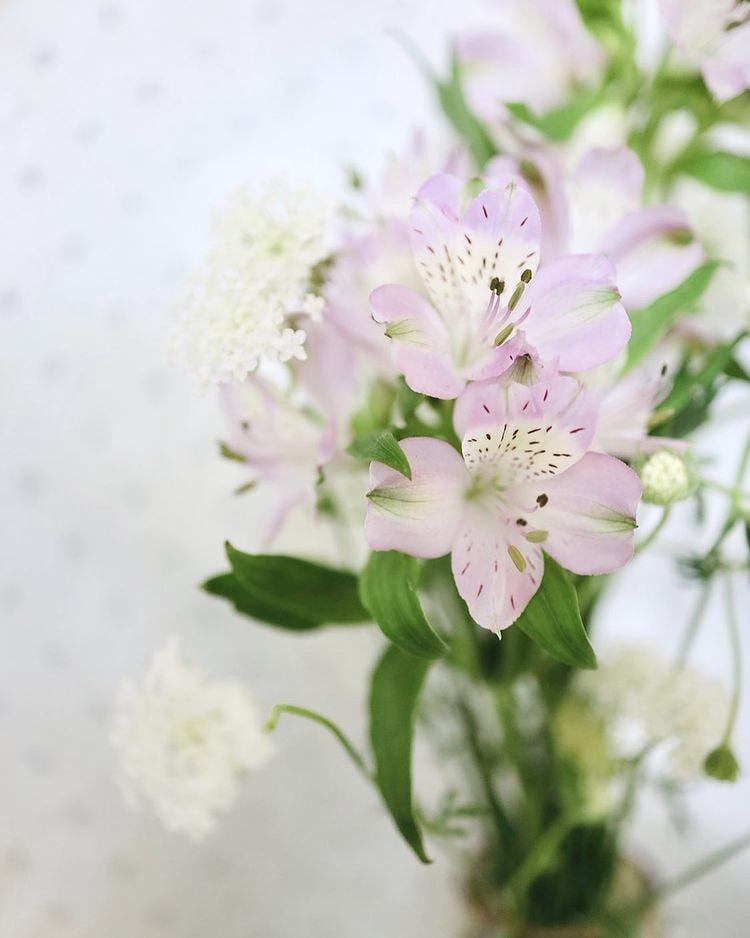 Go to Clarita's profile