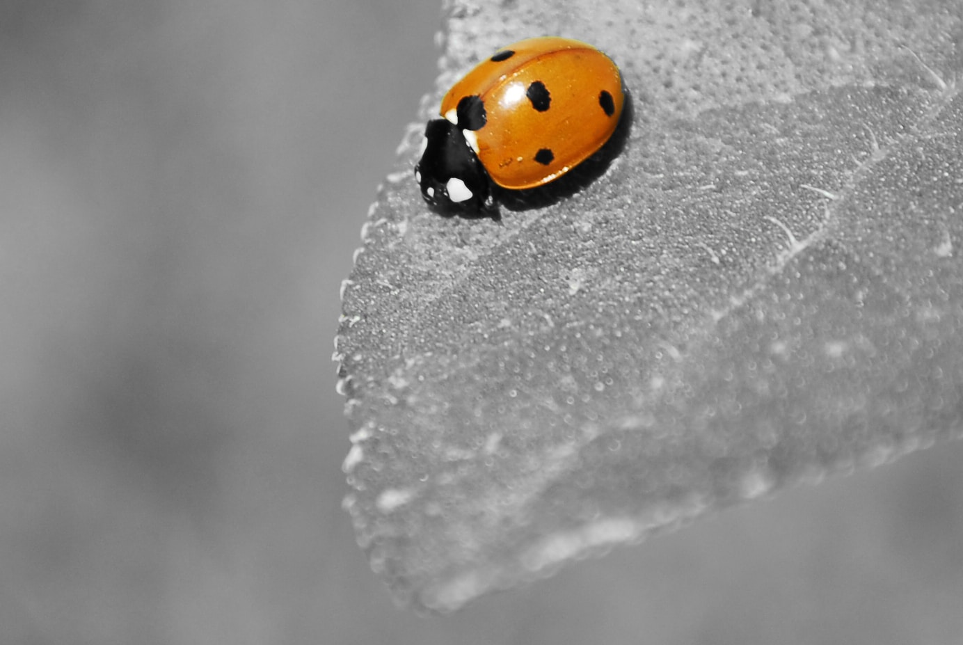 Go to Una Schade's profile