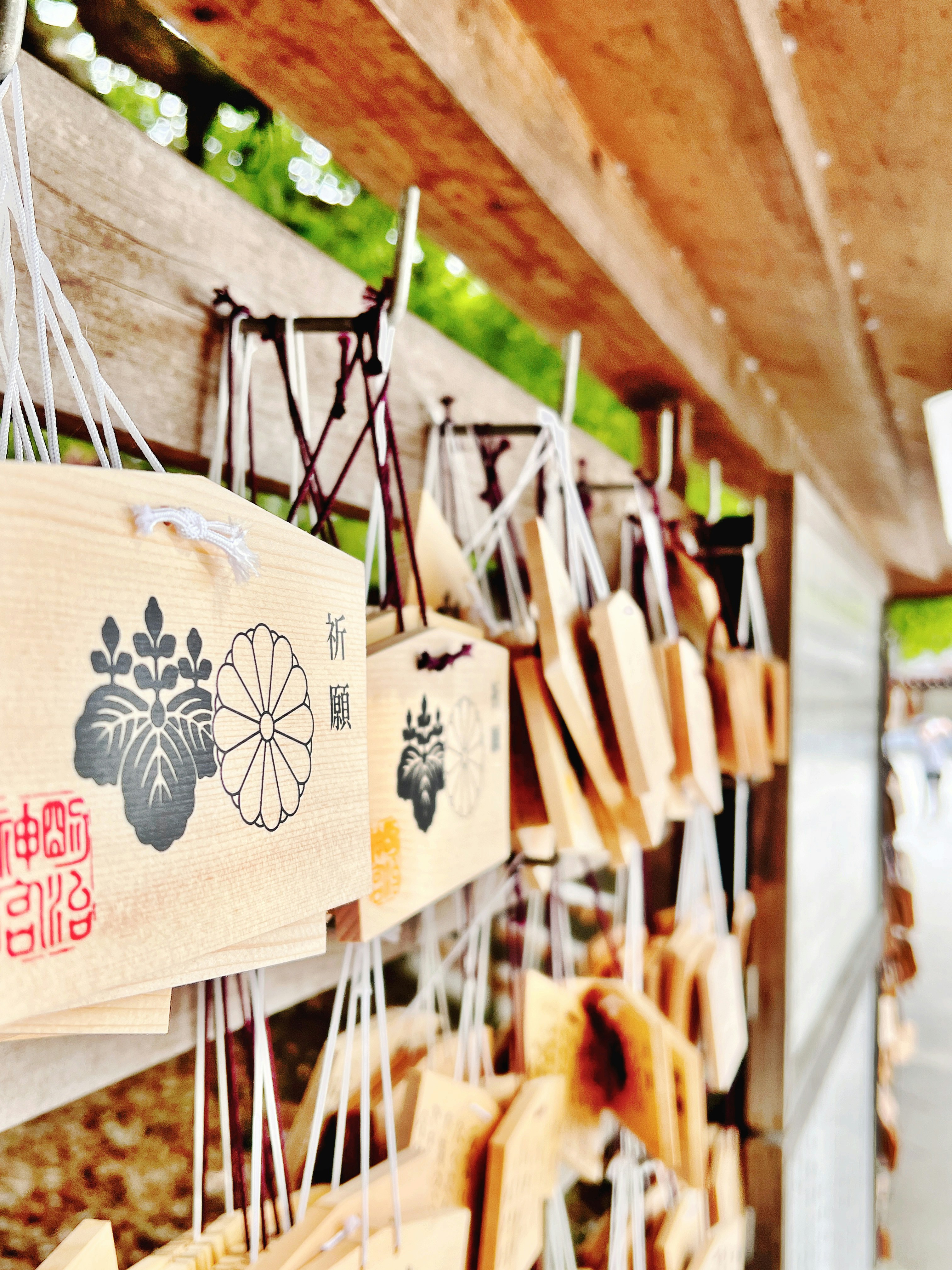 Teriyaki Aburiのプロフィールを見る