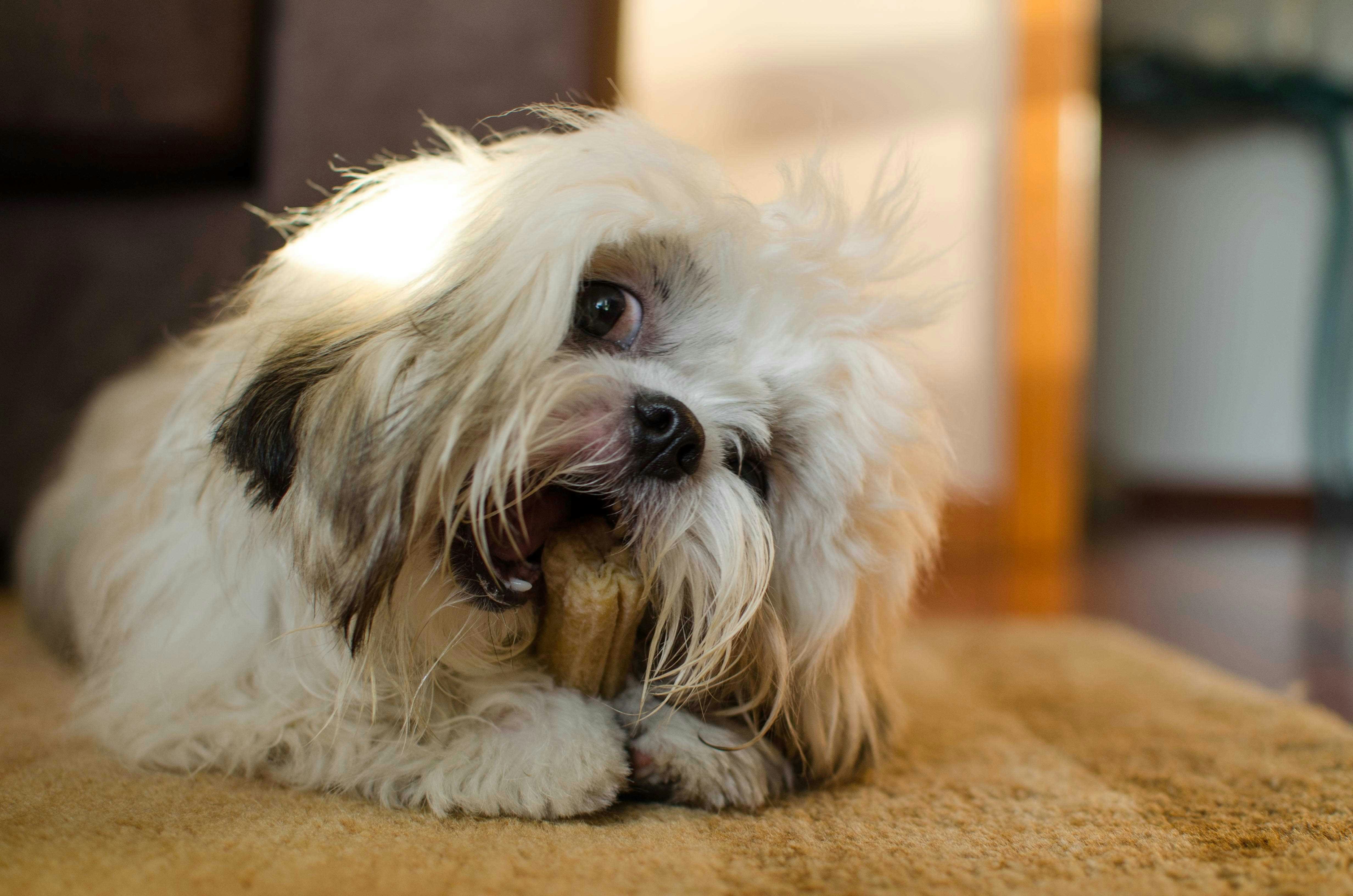 Go to Samu Lopez's profile