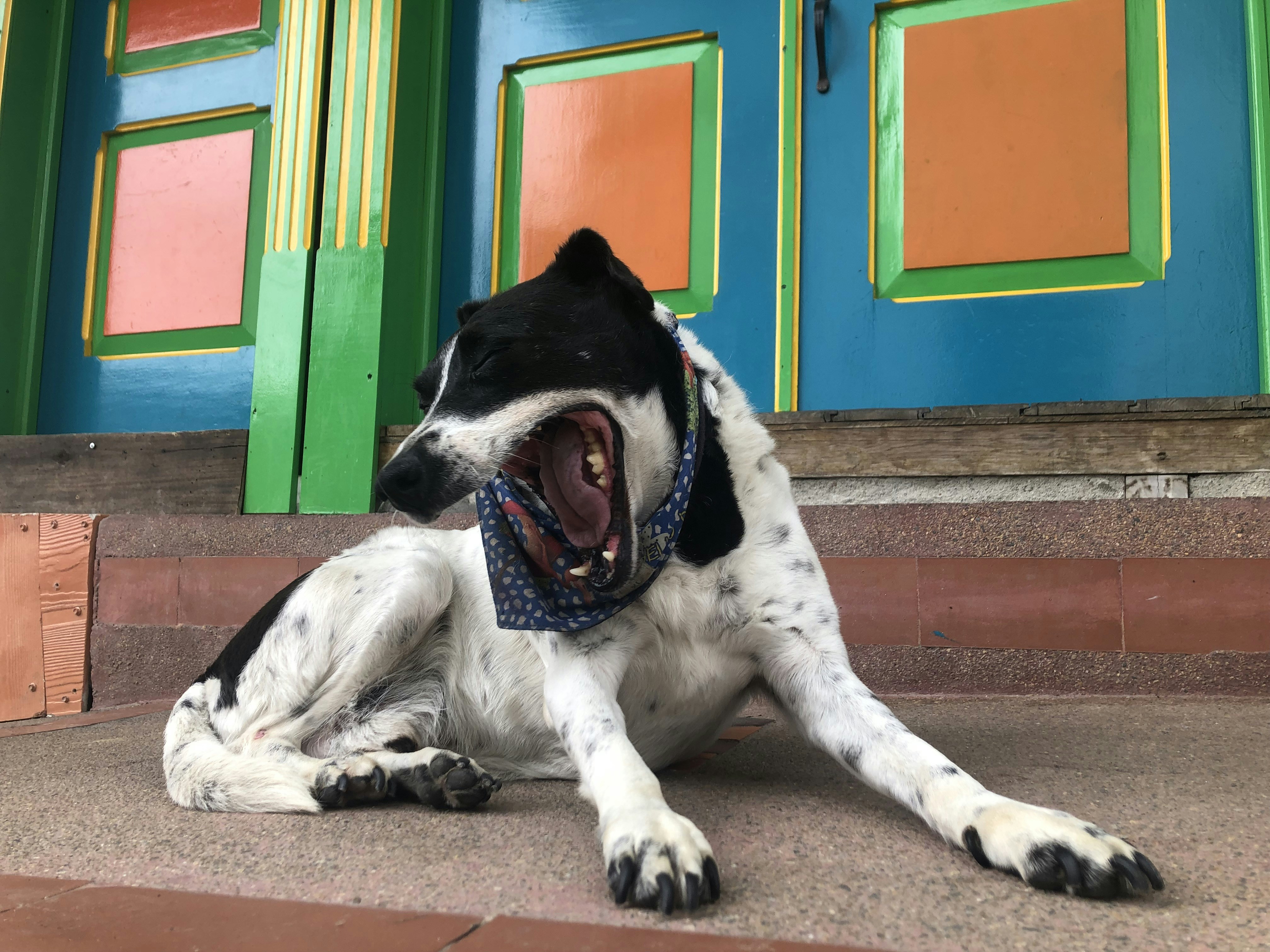 Go to Dav Doh's profile