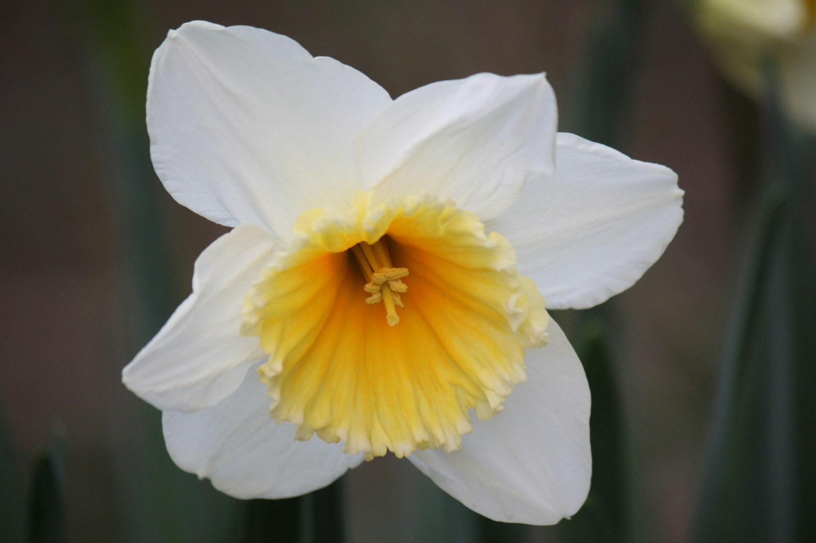 Go to wies dool's profile