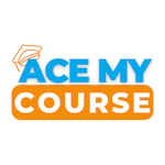 Avatar of user acemy course