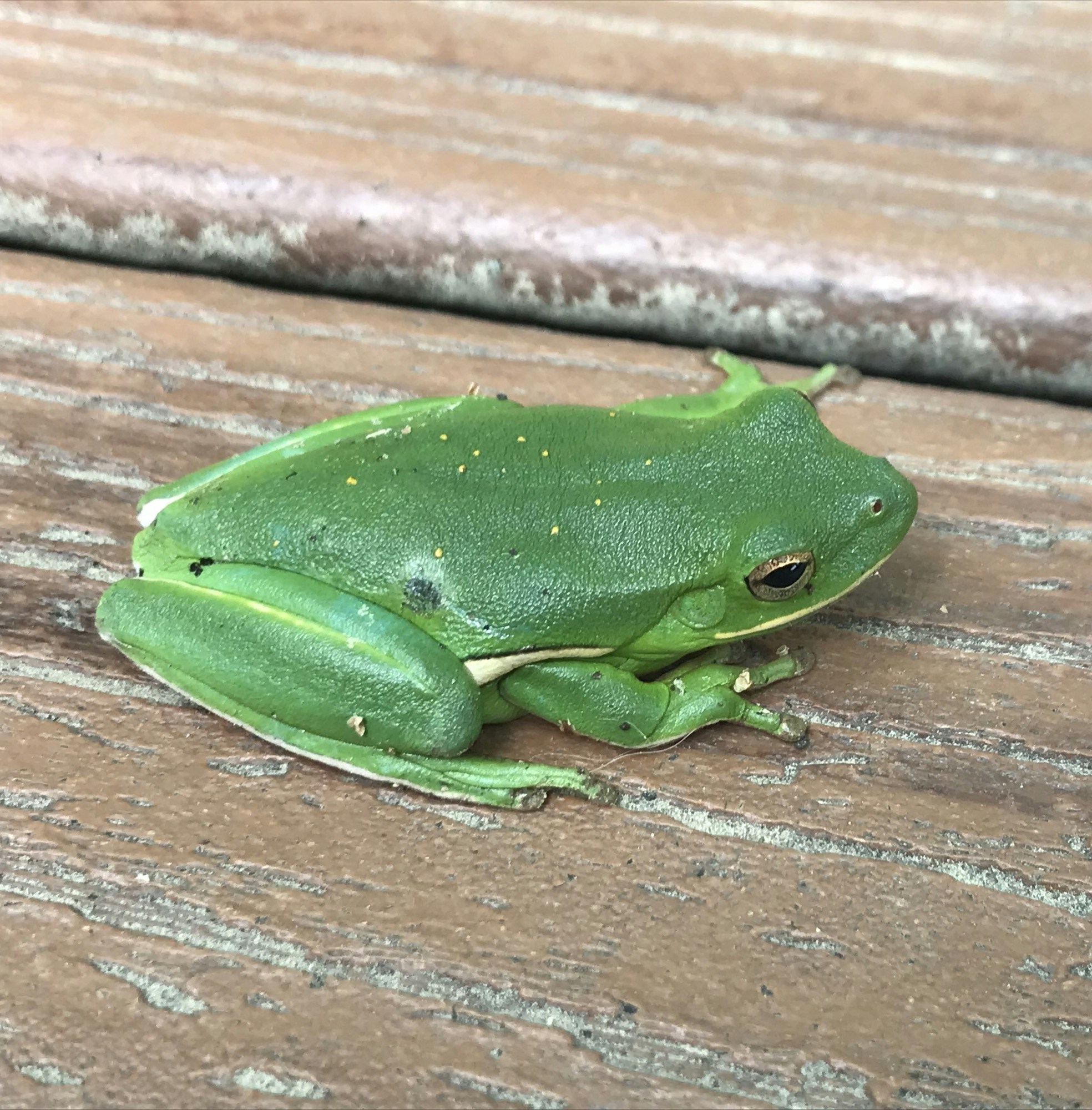 Go to Emmy F's profile