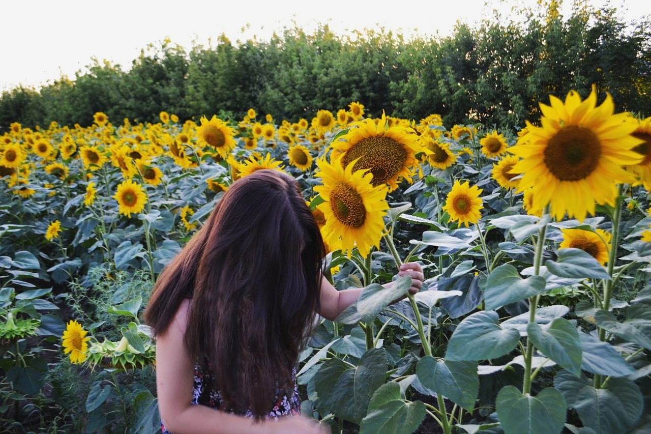 Zum Profil von Maria Bohatikova