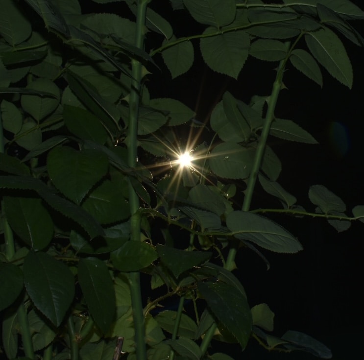 Go to Andrew Maristch III's profile