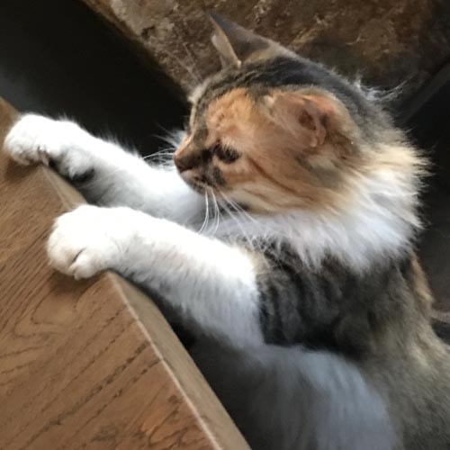 Ir para o perfil de Harry Spink