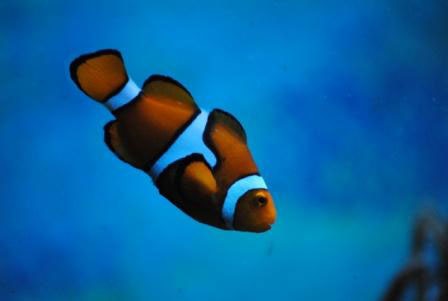 Go to Alison Gee's profile