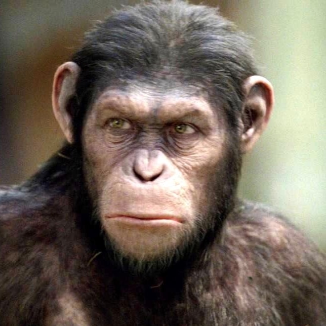 Go to Linus Tahb's profile