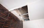 Avatar of user Water Damage Cape Coral
