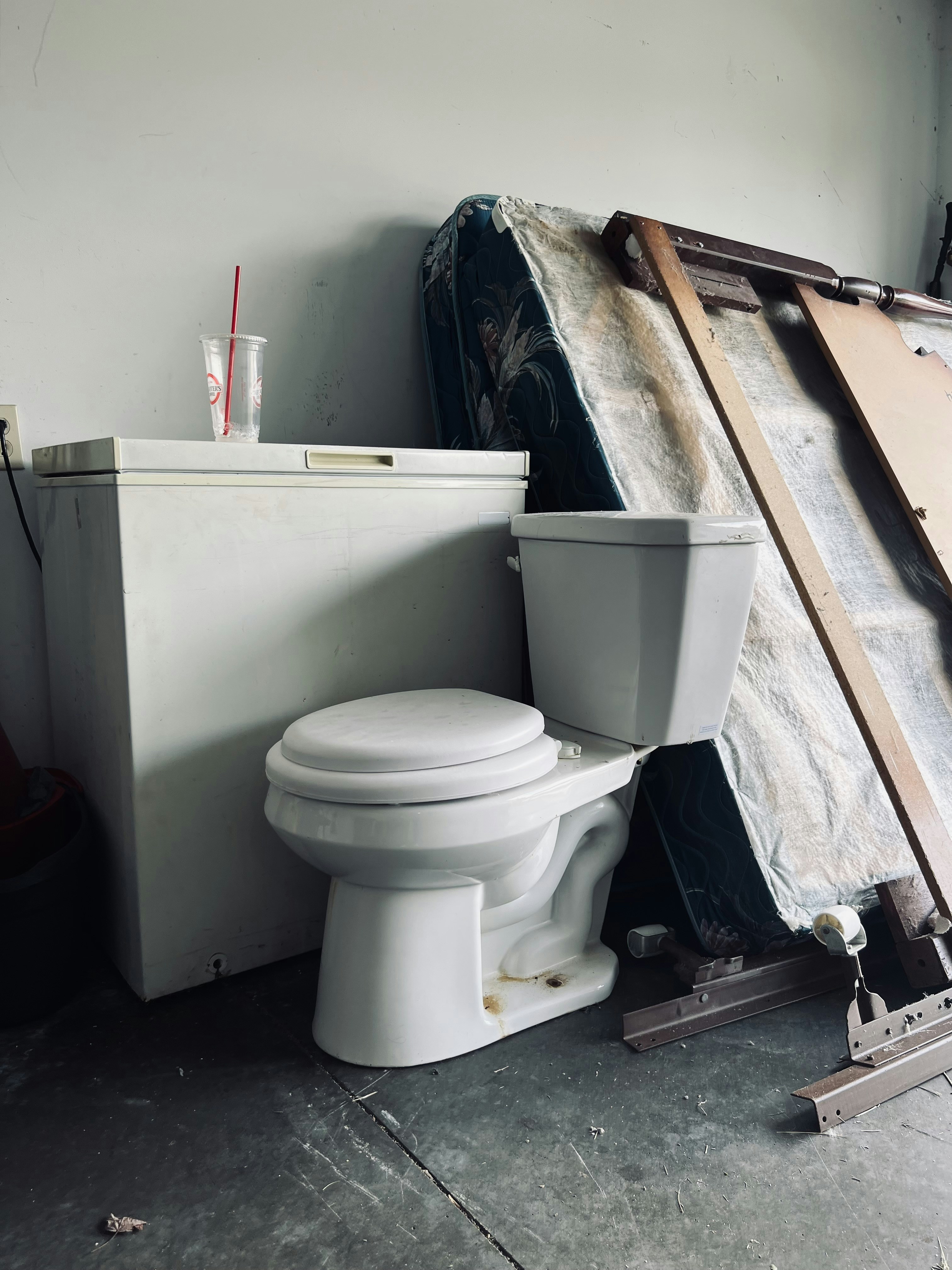 Go to Ian Maina's profile