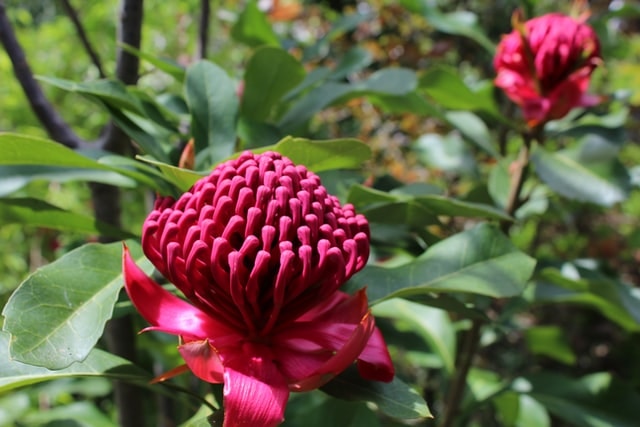 Go to Andrew Tom's profile